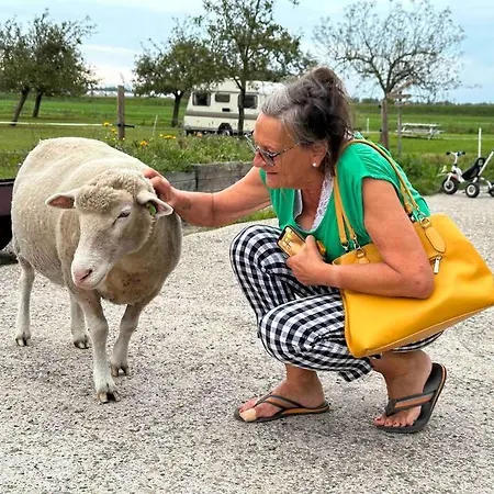 De Boterhal - Op Natuurboerderij