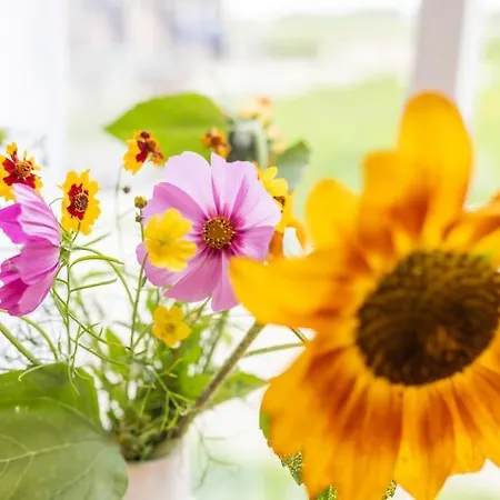 De Boterhal - Op Natuurboerderij * Hem