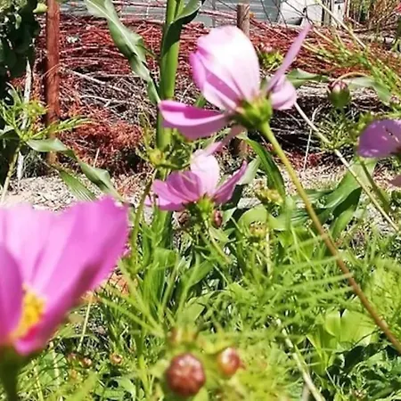 De Boterhal - Op Natuurboerderij *