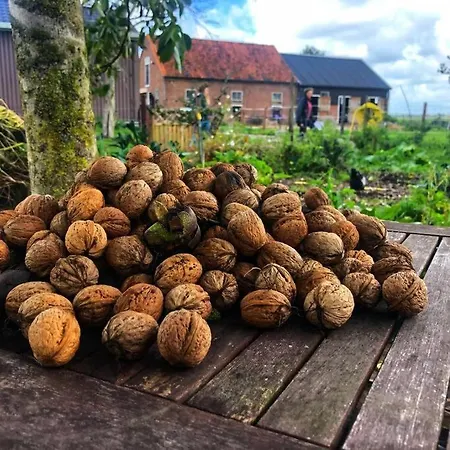 De Boterhal - Op Natuurboerderij