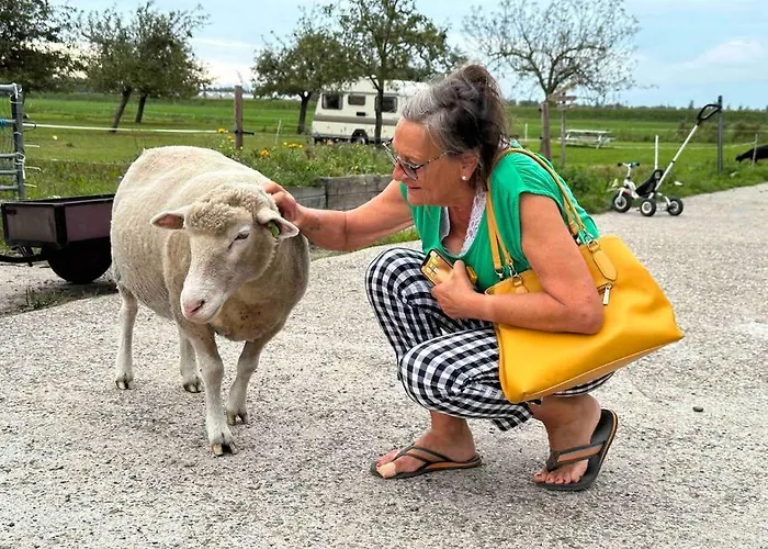 De Boterhal - Op Natuurboerderij
