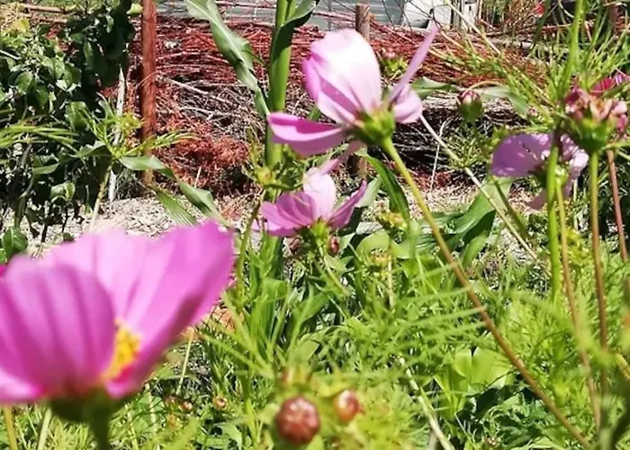De Boterhal - Op Natuurboerderij *