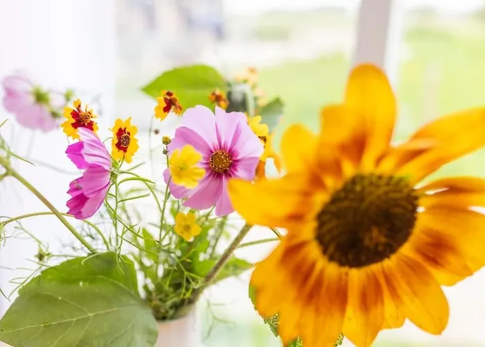 De Boterhal - Op Natuurboerderij * Hem