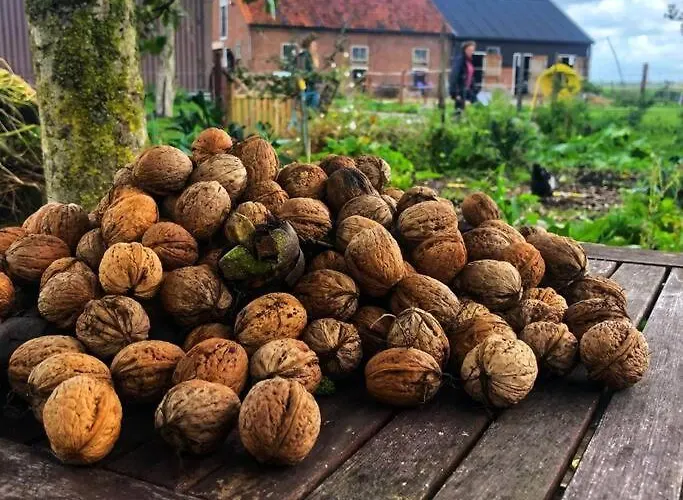 De Boterhal - Op Natuurboerderij