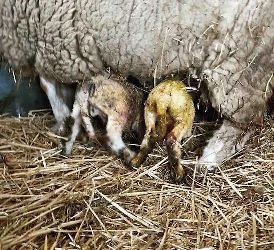 Nyaraló De Boterhal - Op Natuurboerderij